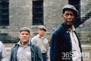 流氓的救赎,一段逆袭与成长的传奇历程