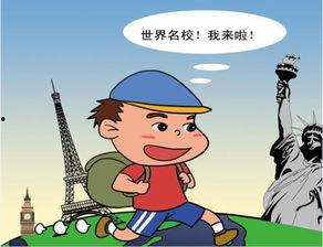 明智的选择,解锁成功之路的关键策略